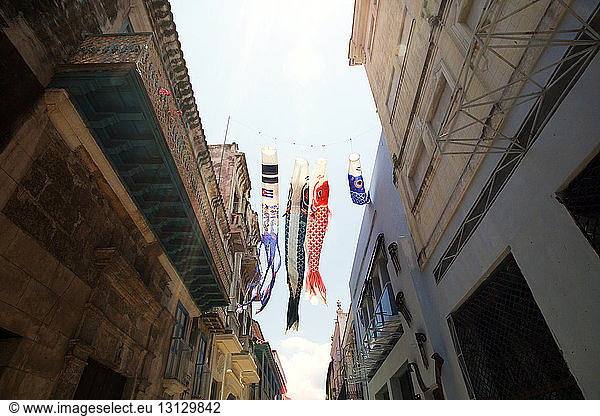 Low angle view of fish style paper lanterns hanging on rope by buildings