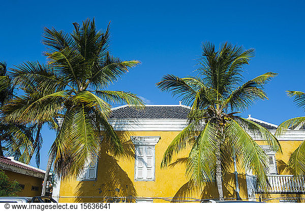 Low angle view of palm trees growing by house against clear blue sky during sunny day  Bonaire  ABC Islands  Caribbean