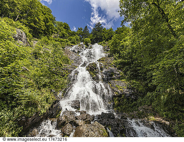 Low angle view of Todtnau Falls in summer