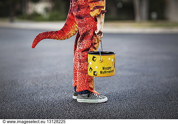 Low section of boy dressed in dragon costume holding bucket on road