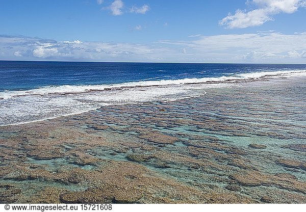 Low tide pools  South Pacific  Niue  Oceania