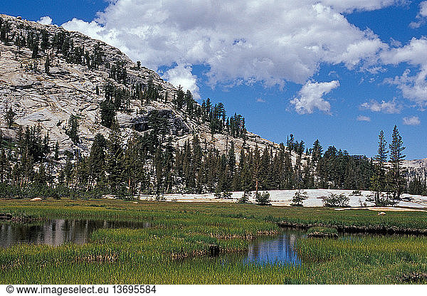 Lower Cathedral Lake  Yosemite National Park  California.