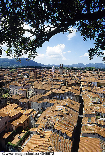 Lucca  Stadtpanorama  Blick über die Dächer  Toskana  Italien  Europa
