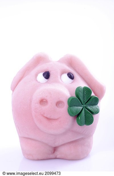 Lucky pig with four-leafed clover  close-up