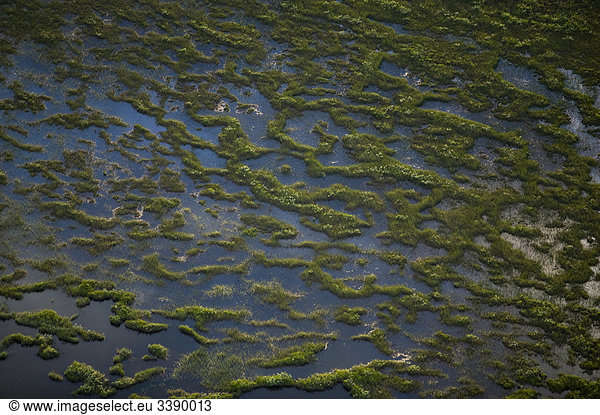 Luftaufnahme über einen Sumpf  Schweden.
