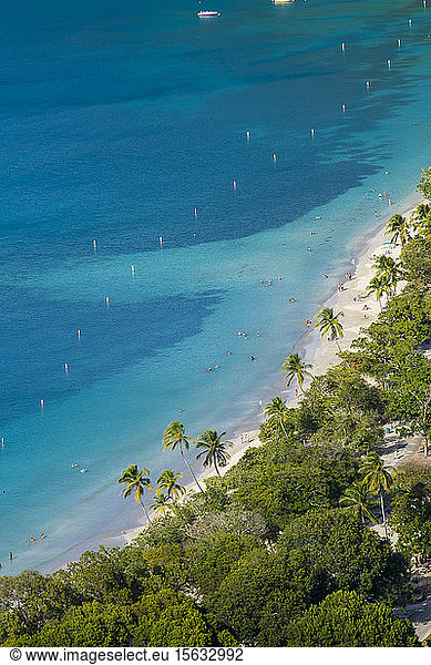 Luftaufnahme der Palmen am Strand der Bucht von Magens  St. Thomas  US Virgin Islands