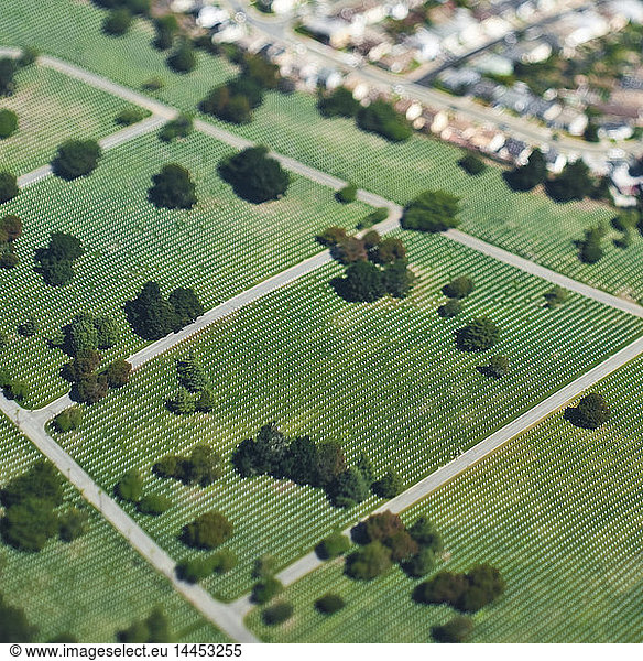 Luftaufnahme des Stadtparks