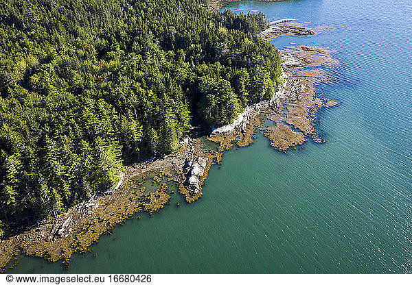 Luftaufnahme einer Drohne von der Küste von Maine bei Ebbe