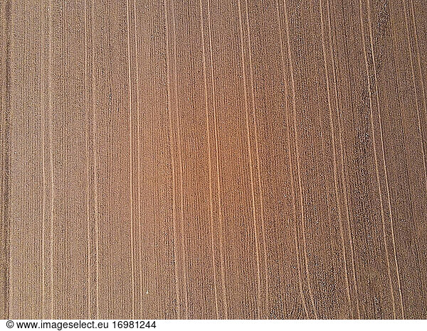 Luftaufnahme eines gepflügten landwirtschaftlichen Feldes mit den Spuren eines Fahrzeugs