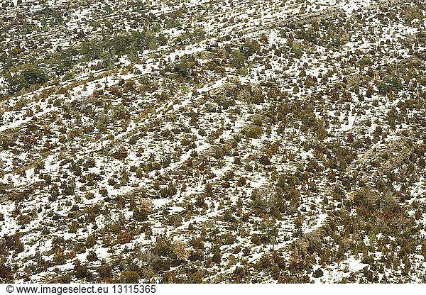 Luftaufnahme eines schneebedeckten Feldes