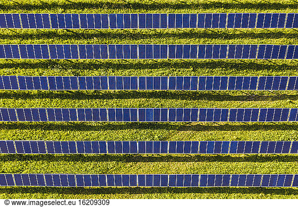 Luftaufnahme eines Solarkraftwerks