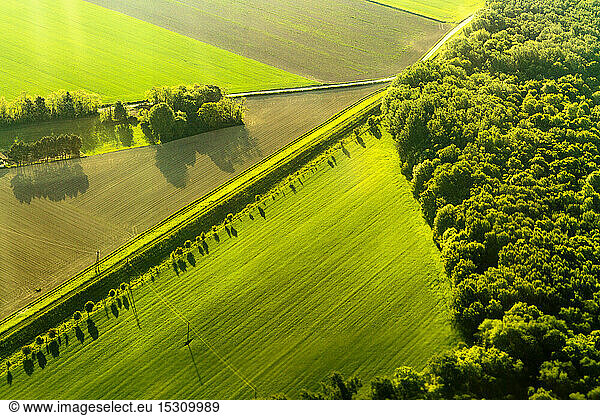 Luftaufnahme von Feldern und Wald  Österreich