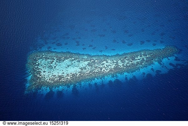 Luftaufnahme von Korallenriffen der Malediven  Indischer Ozean  Felidu Atoll  Luftbild  Luftaufnahme