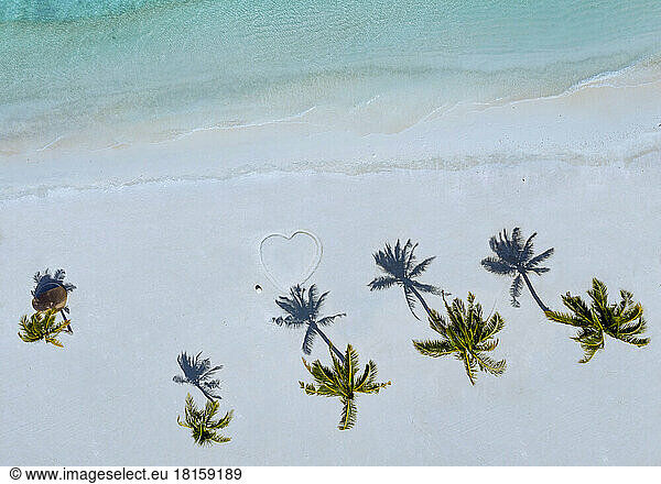 Luftaufnahme von Palmen am tropischen Strand