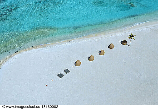 Luftaufnahme von Palmen am tropischen Strand