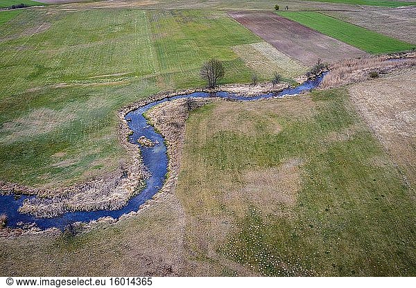 Luftaufnahme während der Dürreperiode mit dem Belczac-Fluss  einem kleinen Flussarm des Liwiec-Flusses im Kreis Wegrow  Polen.