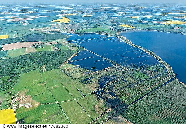Luftbild Große Rosin  Moor  Kummerower See  Natur  Naturschutz  Mecklenburg-Vorpommern  Deutschland  Europa