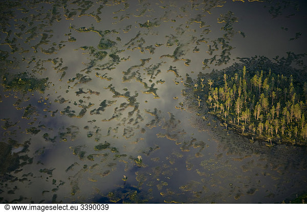 Luftbild von einem Sumpf  Schweden.