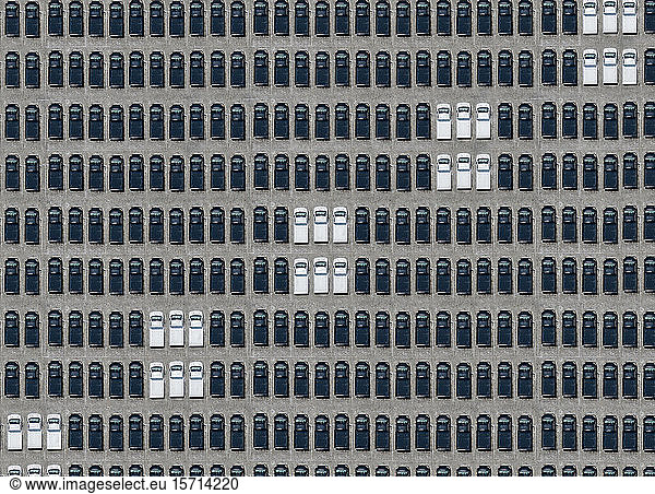 Luftbild von weißen Autos  die zwischen ausschließlich schwarzen Autos geparkt sind