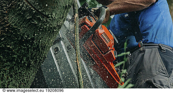 Lumberjack cutting tree trunk with chainsaw in forest