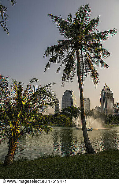 Lumpini park is the major recreational area in the heart of the city