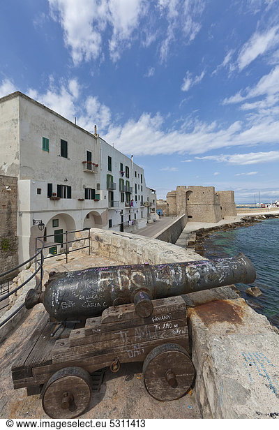 Lungomare Santa Maria mit alten Kanonen  hinten das Castello Monopoli  Monopoli  Apulien  Süditalien  Italien  Europa