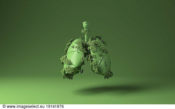 Lungs covered with green plants against green background