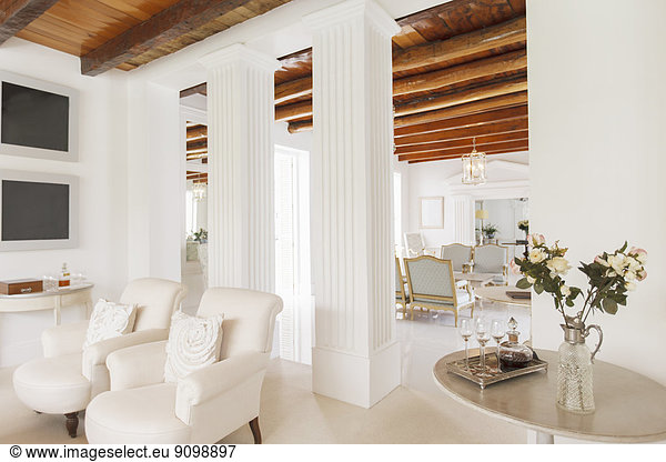 Luxury living room with pillars