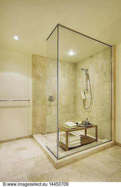 Luxury shower