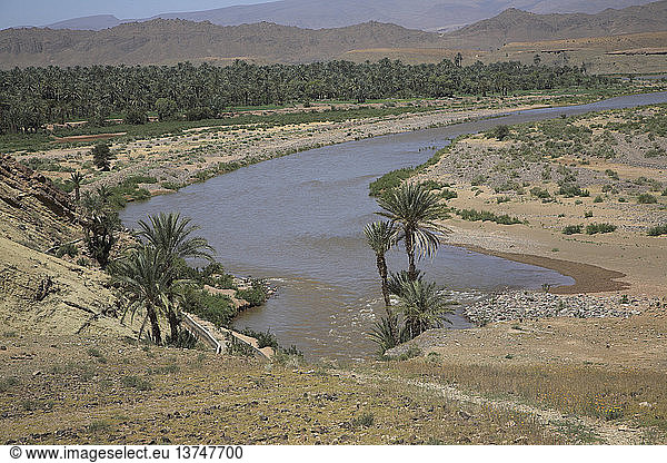 Mäander im Fluss Draa mit Dattelpalmengärten und kargen Hügeln  in der Nähe von Zagora  Marokko  Nordafrika