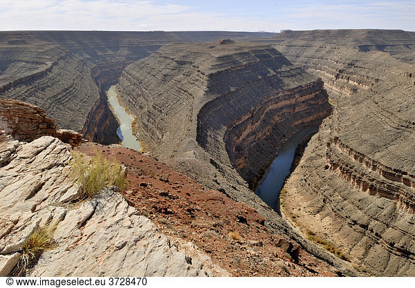 Mäander-Schleife des San Juan River  canyonartig in verschiedene Gesteinsschichten eingegraben  Goosenecks State Park  Utah  USA