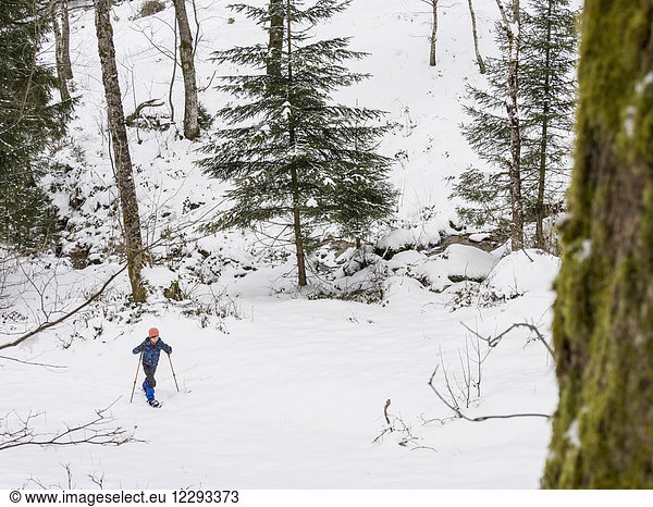Mädchen beim Schneeschuhwandern im Schwarzwald  Deutschland  Europa