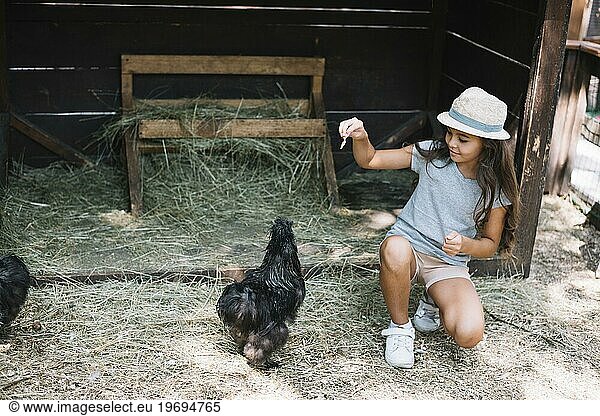Mädchen füttert Hühner auf dem Bauernhof