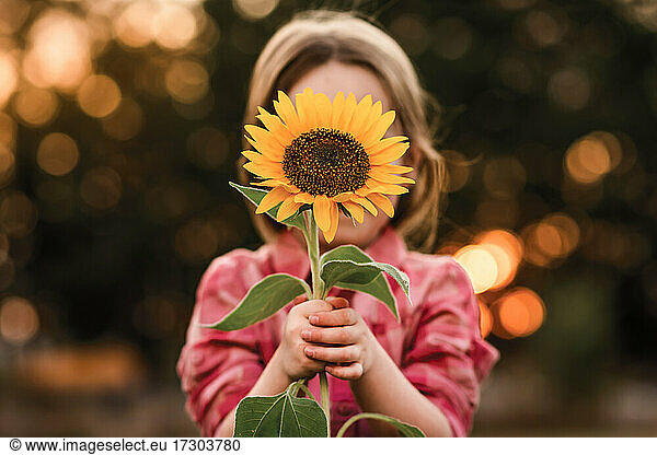Mädchen hält Sonnenblume vor dem Gesicht im Sommer in der Abendsonne Licht