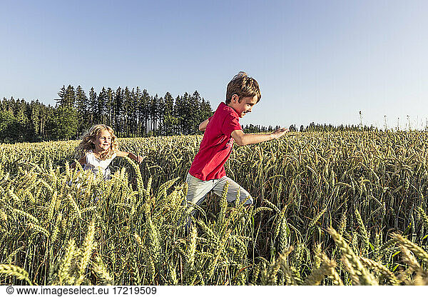 Mädchen läuft mit Bruder inmitten von Nutzpflanzen bei Sonnenuntergang