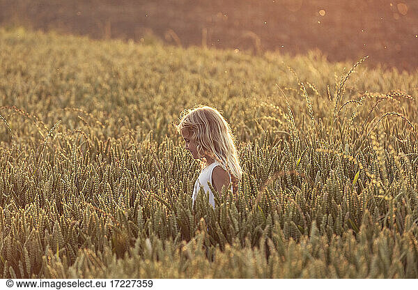 Mädchen mit blondem Haar beobachtet Nutzpflanze