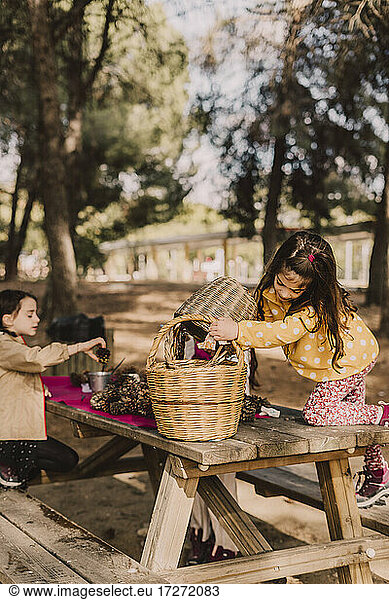 Mädchen sammelt Tannenzapfen in Weidenkörben am Picknicktisch