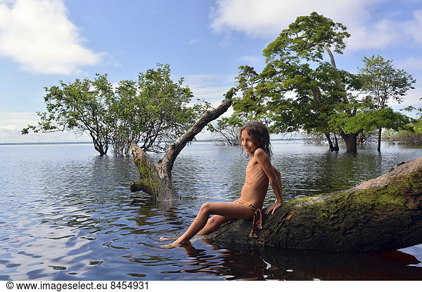 Mädchen sitzt am Baumstamm eines Urwaldriesen am Ufer des Amazonas oder Rio Solimões  Naturschutzgebiet Mamirauá  bei Tefe  Amazonas  Brasilien