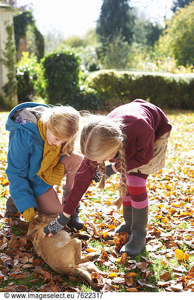 Mädchen Streichelhund im Herbstlaub