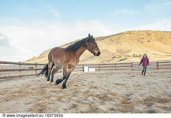 Mädchen trainiert Pferd in einer Arena