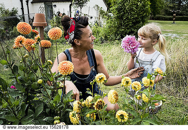 Mädchen und Frau knien in einem Garten und pflücken rosa und gelbe Dahlien.
