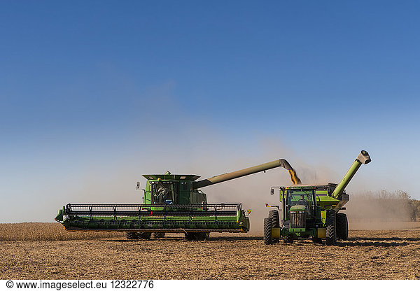 Mähdrescher beim Entladen von Sojabohnen in Traktor und Getreidewagen bei der Ernte  in der Nähe von Nerstrand; Minnesota  Vereinigte Staaten von Amerika