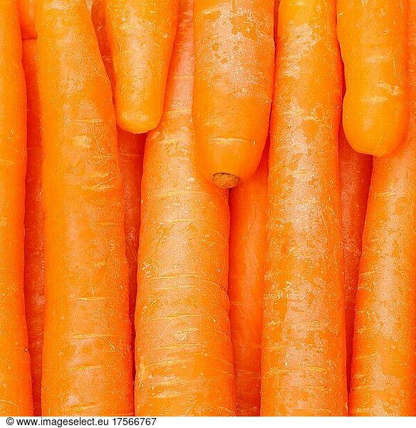Möhren Karotten Möhre Karotte Gemüse Hintergrund von oben quadratisch