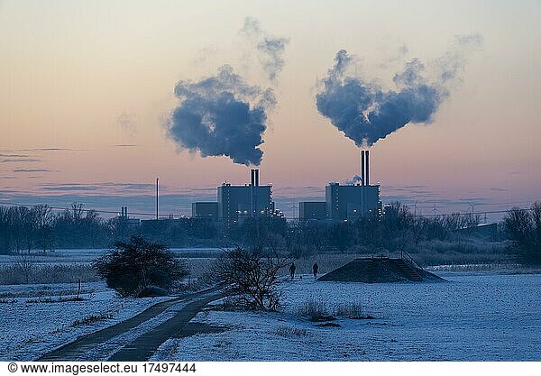 Müllheizkraftwerk  rauchende Schornsteine zum Sonnenuntergang  Magdeburg  Sachsen-Anhalt  Deutschland  Europa