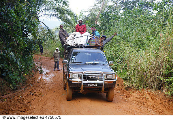 Männer auf Jeep-Ladefläche  Piste durch den Urwald  Bamenda  Kamerun  Afrika