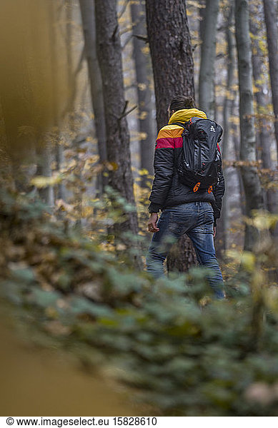 Männer  die zwischen fallenden Blättern in einem Wald spazieren gehen