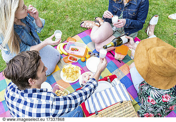 Männliche und weibliche Freunde beim Essen und Trinken während eines Picknicks im Park