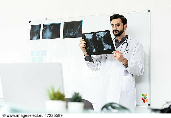 Männlicher Angestellter im Gesundheitswesen analysiert Röntgenbilder  während er vor einer weißen Tafel im Krankenhaus steht
