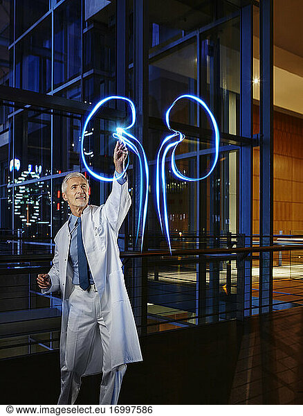 Männlicher Nephrologe  der eine Niere im Labor eines Krankenhauses beleuchtet