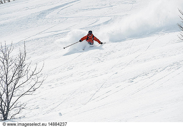 Männlicher Skifahrer beim Abfahrtslauf  Alpe-d'Huez  Rhône-Alpes  Frankreich